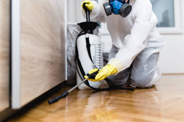 Best Termite Control Services  in Bogalusa, LA