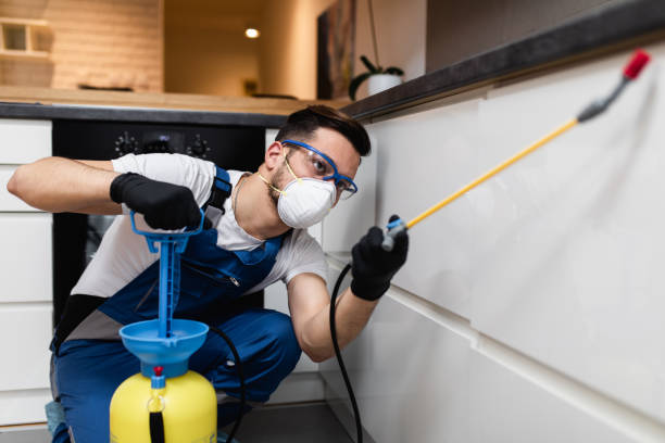 Best Affordable Pest Control Services  in Bogalusa, LA