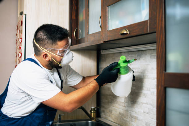 Best Pest Prevention Services  in Bogalusa, LA