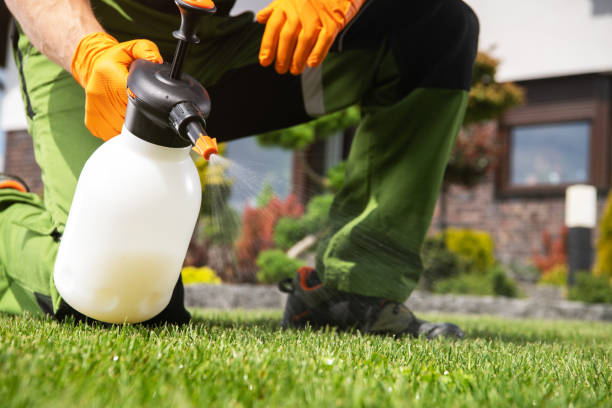 Professional Pest Control in Bogalusa, LA