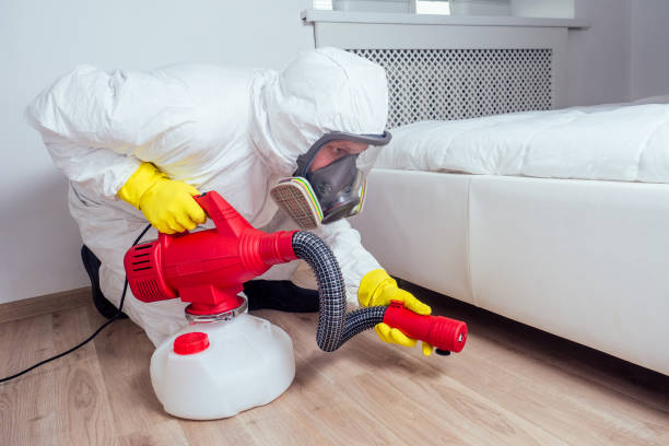 Best Bed Bug Extermination  in Bogalusa, LA