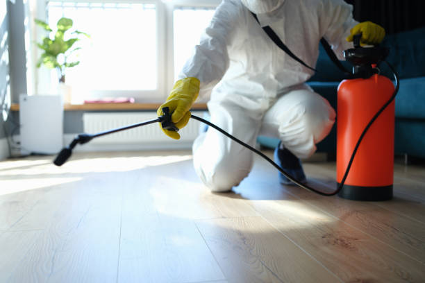 Pest Prevention Services in Bogalusa, LA