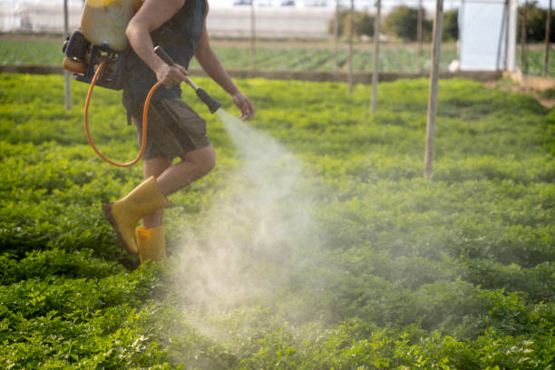 Best Exterminator Services  in Bogalusa, LA