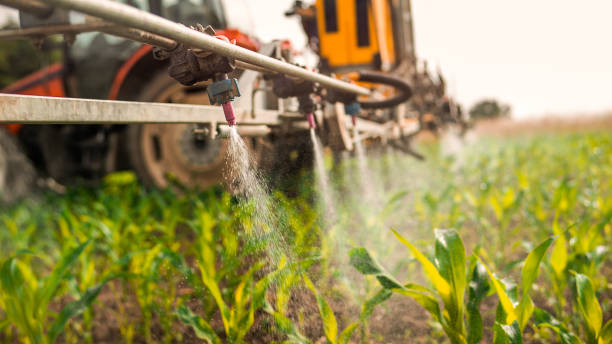 Best Pest Control for Businesses  in Bogalusa, LA